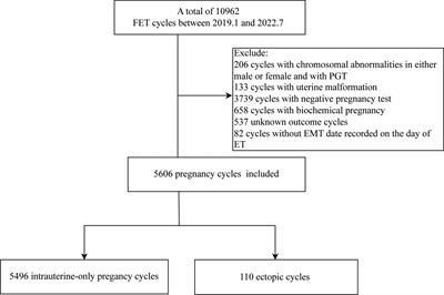 Establishment of a prediction model for the impact of endometrial thickness on the day of embryo transfer on ectopic pregnancy in frozen-thawed embryo transfer cycle